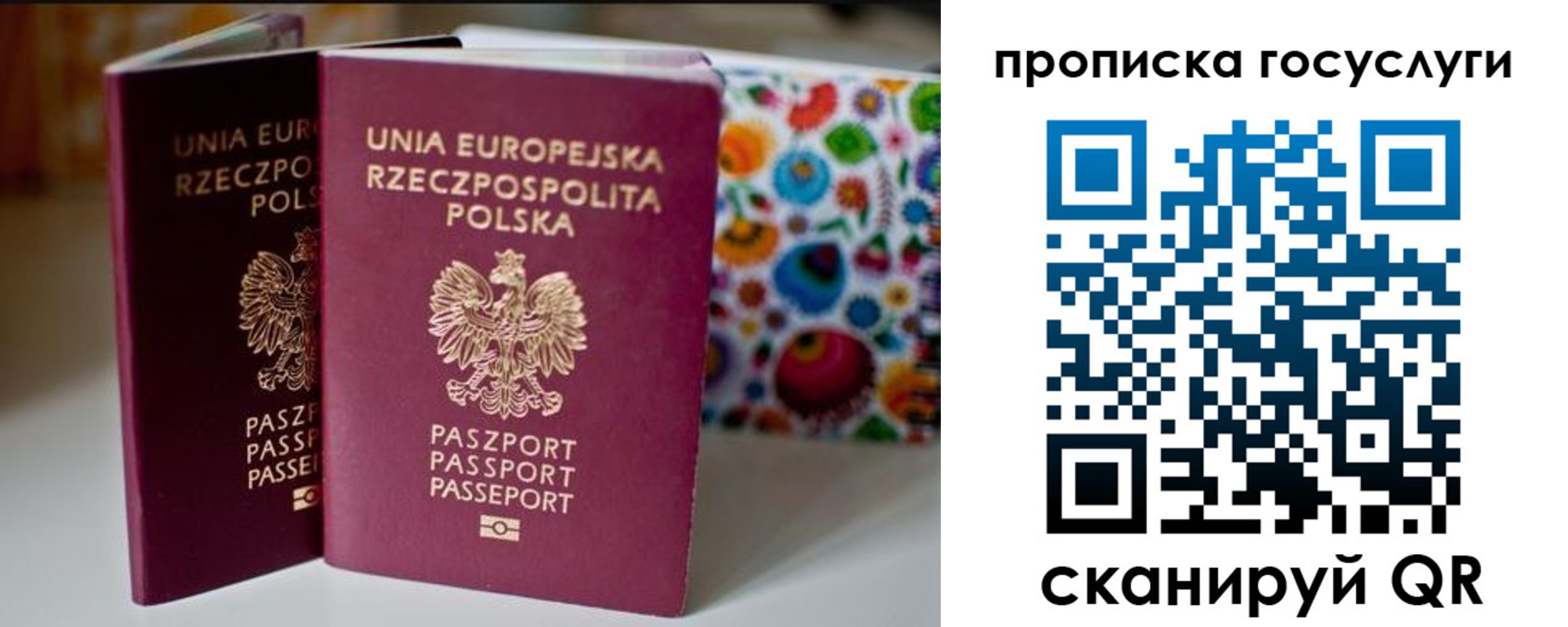 пропишу в квартире в Донском